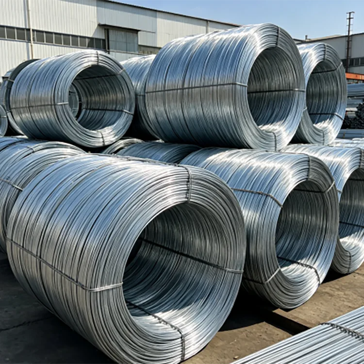 Hot-dip galvanized wire rod